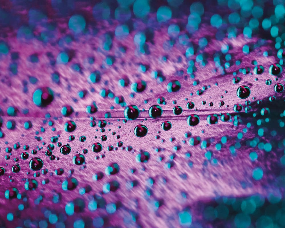 Imagen de una tela de poliéster antifluidos